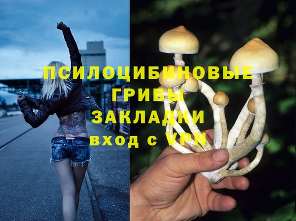 кокаин Белокуриха
