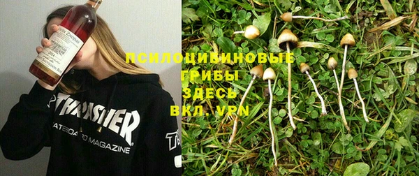 кокаин Белокуриха