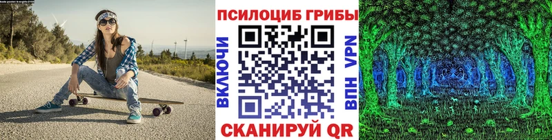 дарнет шоп  Гудермес  Галлюциногенные грибы MAGIC MUSHROOMS 