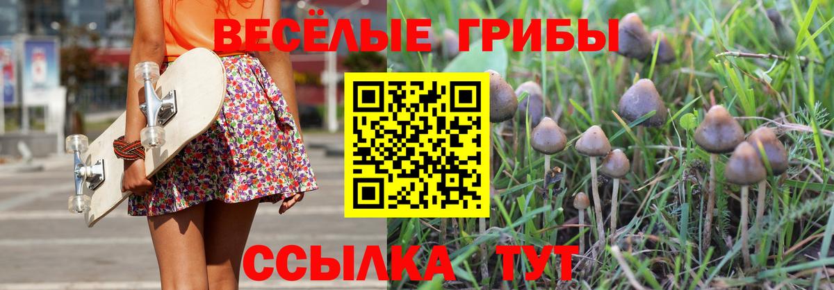 Галлюциногенные грибы мицелий Гудермес