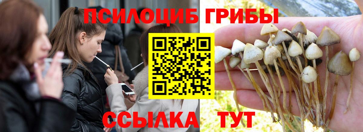 Гудермес  Галлюциногенные грибы мицелий  где купить наркотик  Вход с VPN 
